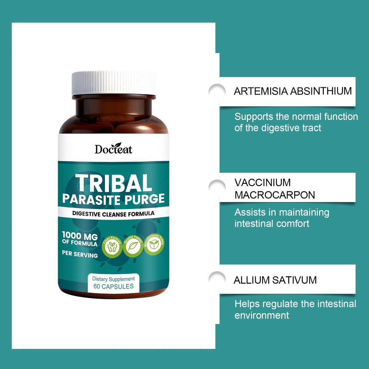 Intestinal Health Support Capsule