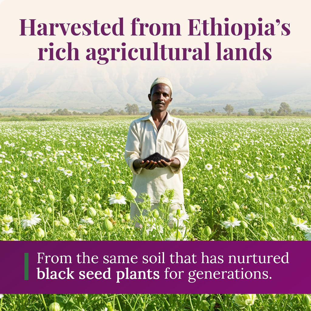 Ethiopian Black Seed Oil 16oz (PET)/Plastic Bottle