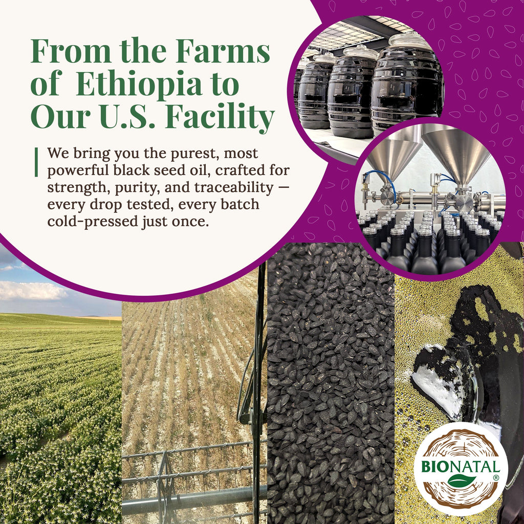 Ethiopian Black Seed Oil 16oz (PET)/Plastic Bottle